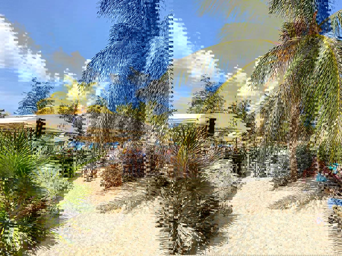 Zest Beach Cafe - My Curacao Guide