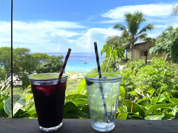 Sol Food My Curacao Guide