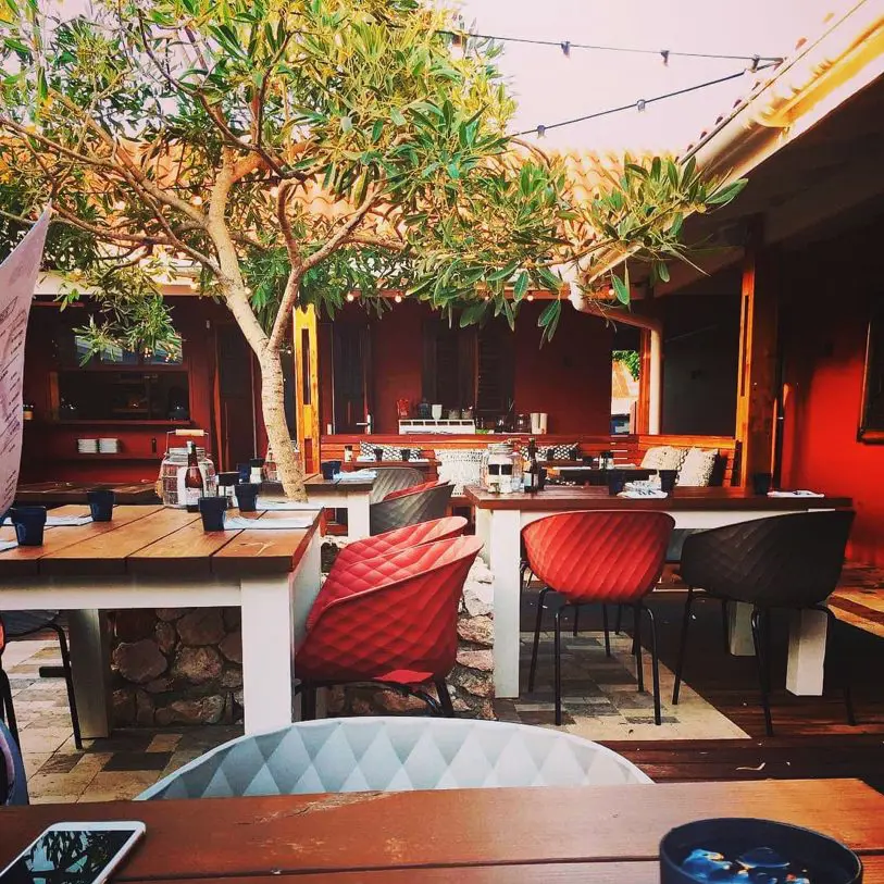 Fish & Joy My Curacao Guide