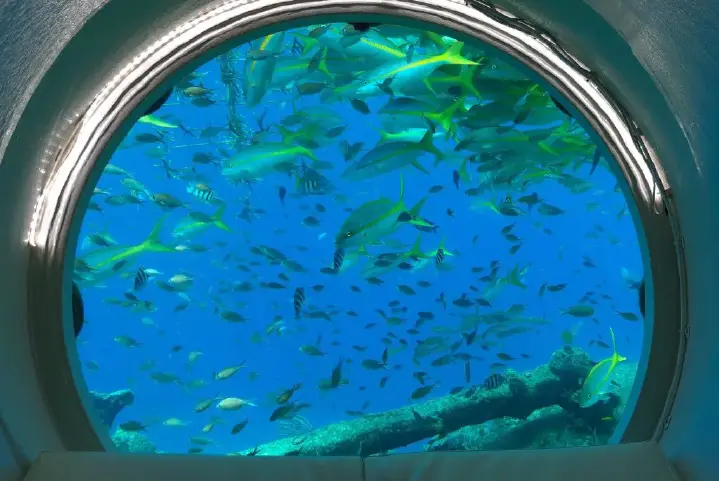 ocean-lens-5.jpeg