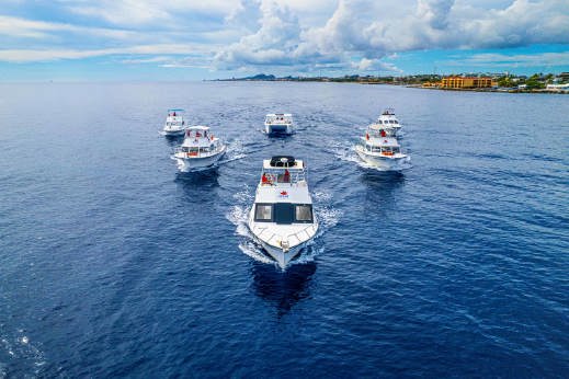 Ocean Encounters