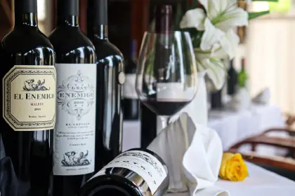 the-wine-cellar-wine