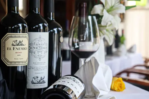 the-wine-cellar-wine