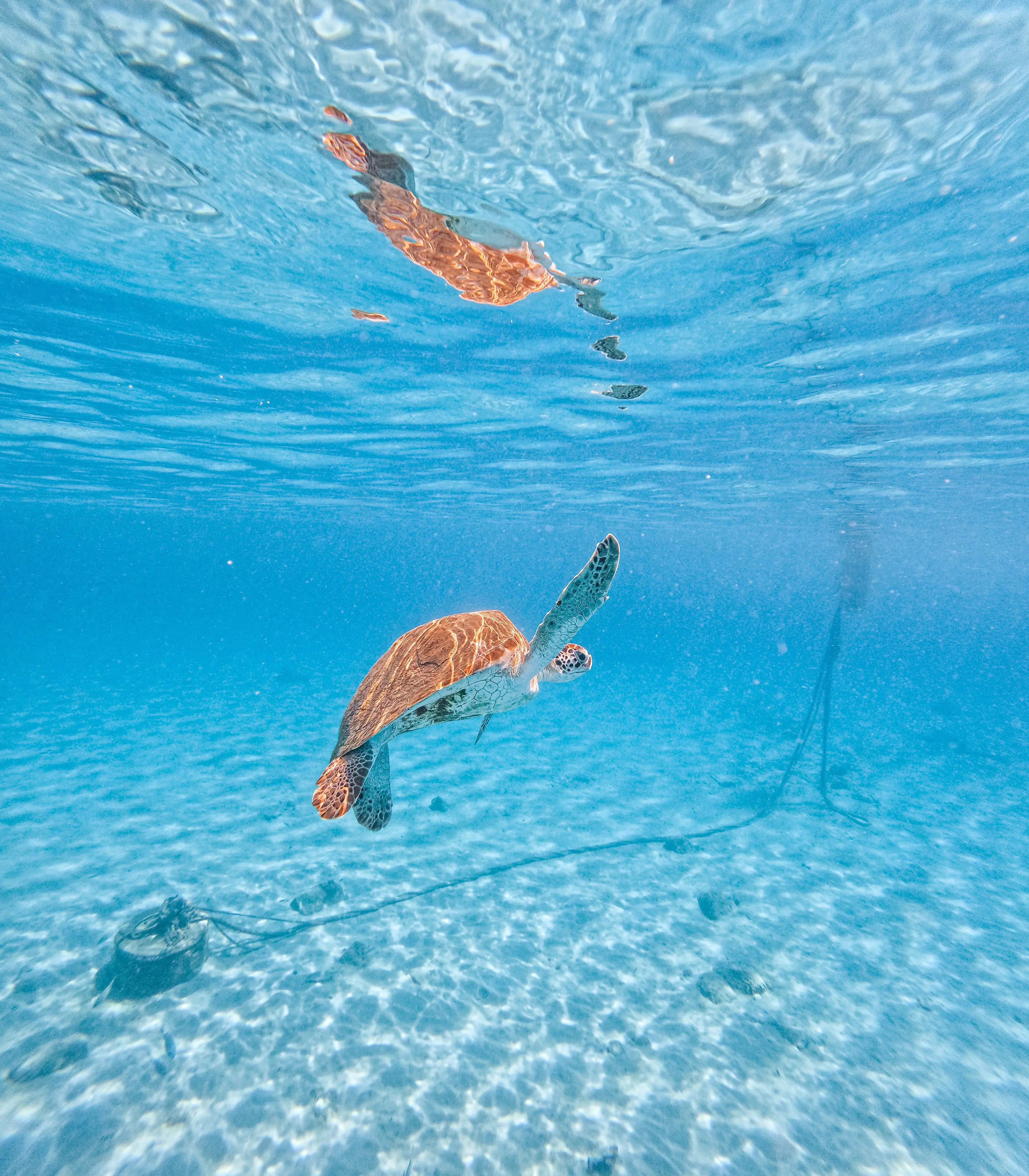 wonders-of-curacao-irie-tours-8