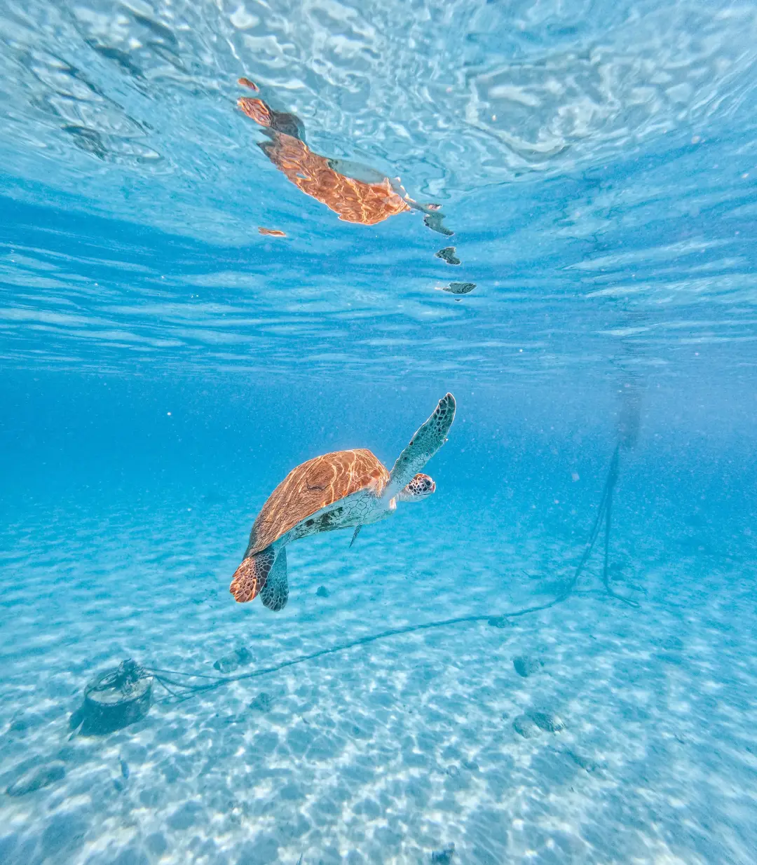 wonders-of-curacao-irie-tours-8